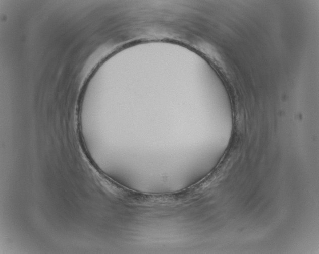 X0000074311183200609151959