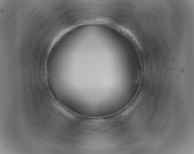 X0000074311184200609151959