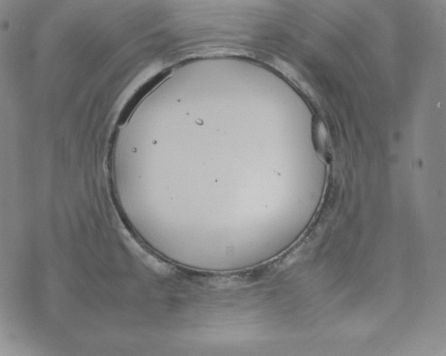 X0000074311189200609151959