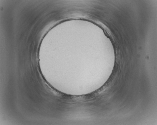 X0000074311191200609151959