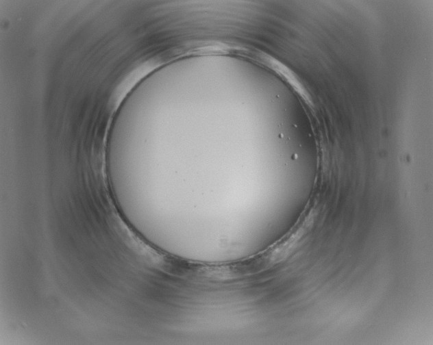 X0000074311194200609151959