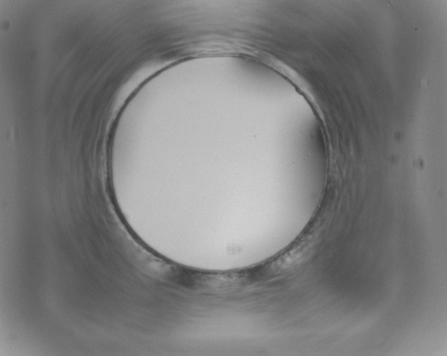 X0000074311195200609151959