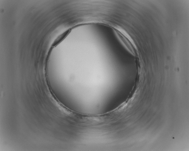 X0000074311197200609151959