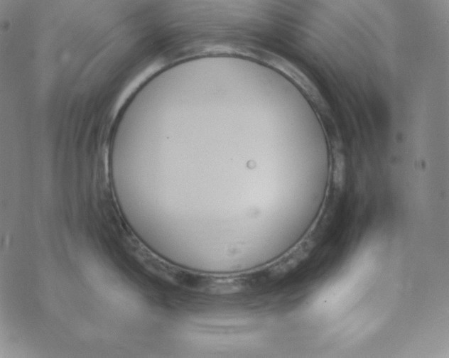 X0000074311198200609151959