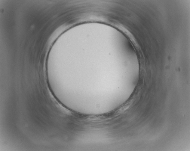 X0000074311199200609151959