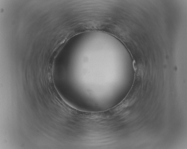 X0000074311202200609151958