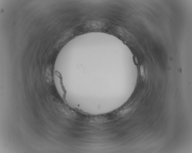 X0000074311203200609151958