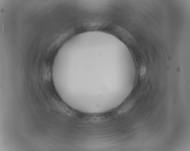 X0000074311204200609151958