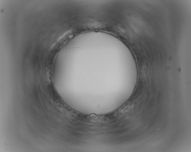 X0000074311205200609151958