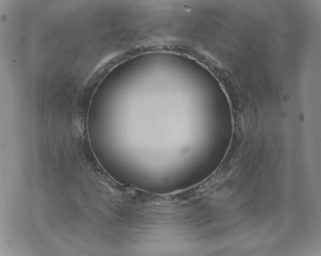 X0000074311206200609151958