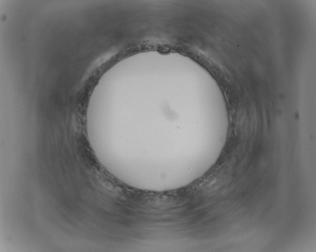 X0000074311207200609151958