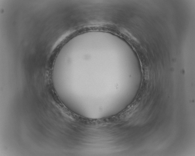 X0000074311208200609151958