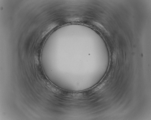 X0000074311209200609151958