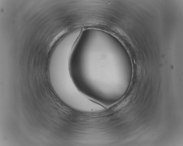 X0000074311210200609151958