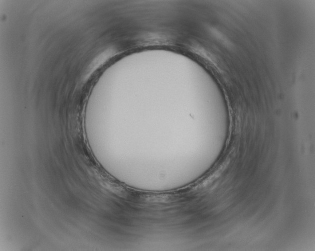 X0000074311211200609151958