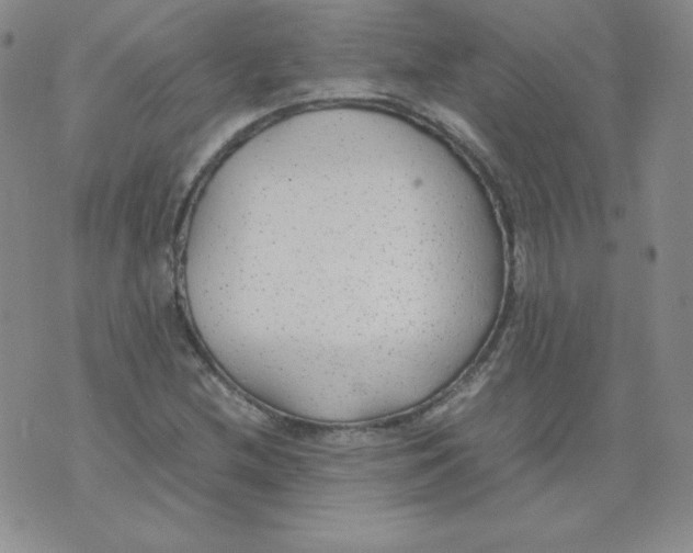 X0000074311212200609151958