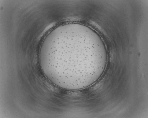 X0000074311213200609151958