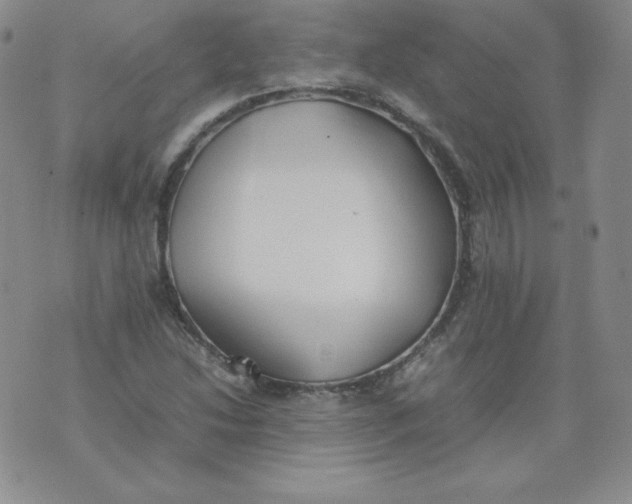 X0000074311214200609151958