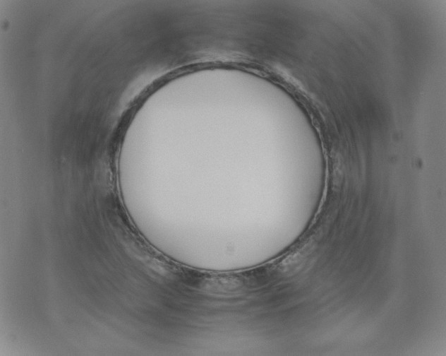 X0000074311215200609151958