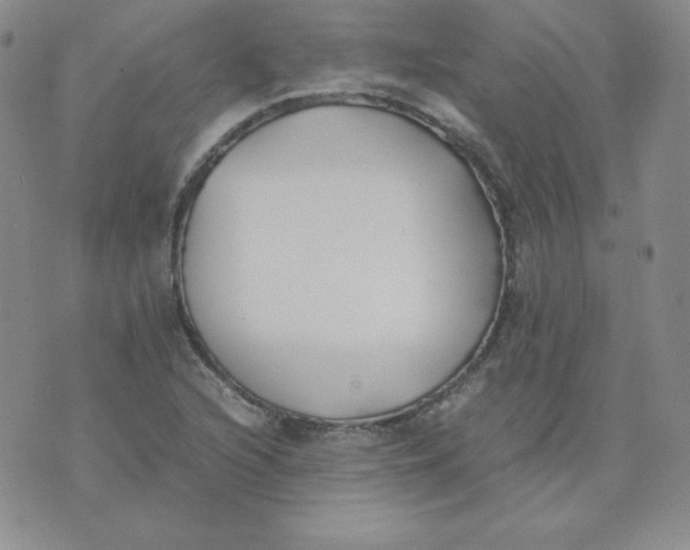 X0000074311216200609151958