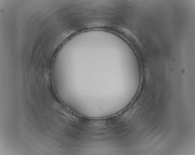 X0000074311217200609151958