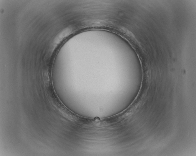 X0000074311218200609151958