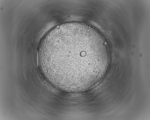 X0000074311219200609151958