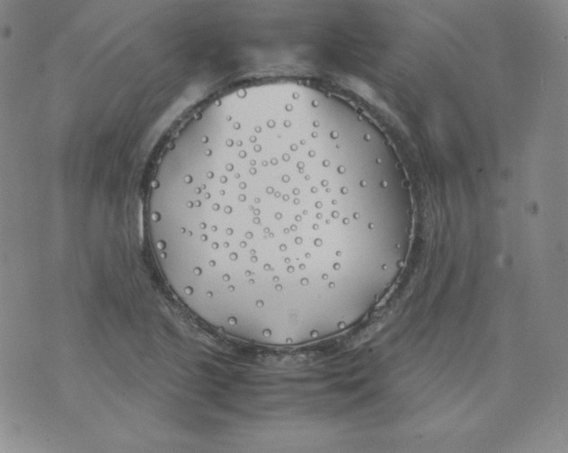 X0000074311221200609151958