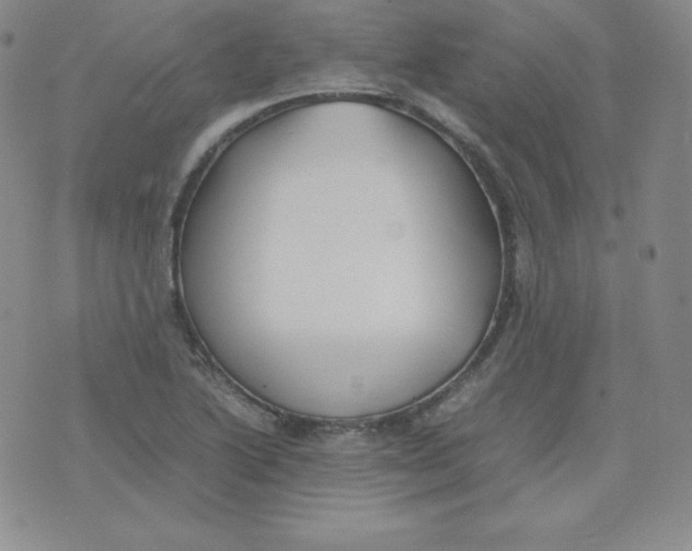 X0000074311222200609151958