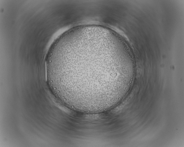 X0000074311223200609151958