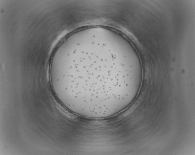 X0000074311224200609151958