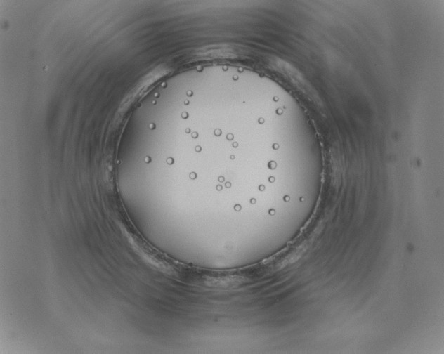 X0000074311225200609151958