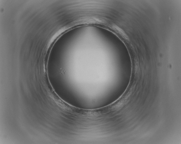 X0000074311226200609151958