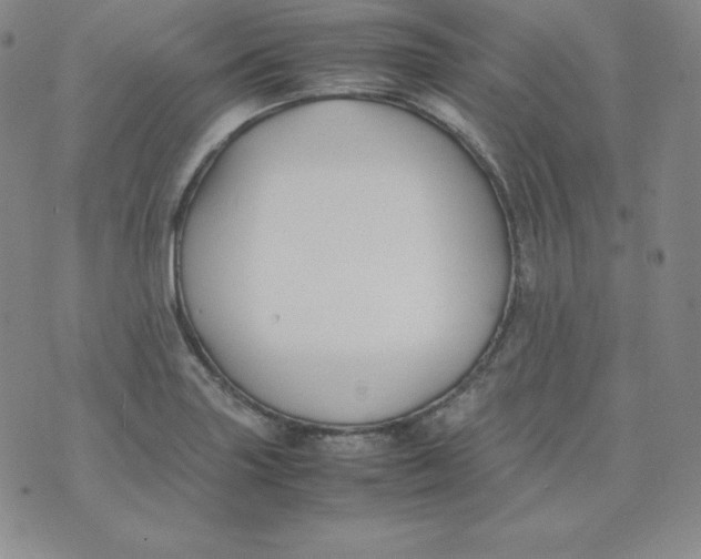 X0000074311227200609151958