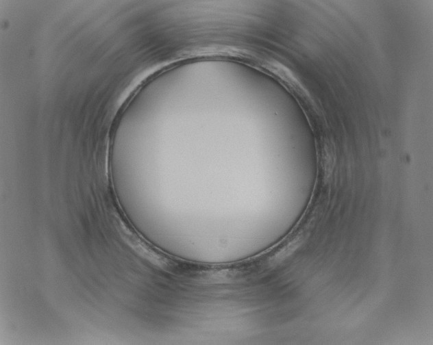 X0000074311228200609151958