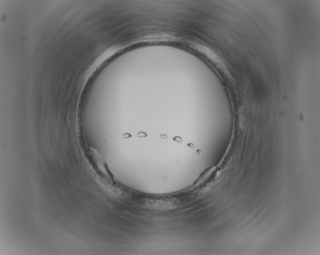 X0000074311229200609151958