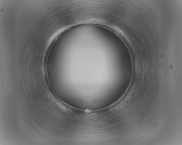 X0000074311230200609151958