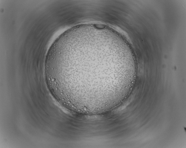 X0000074311231200609151958