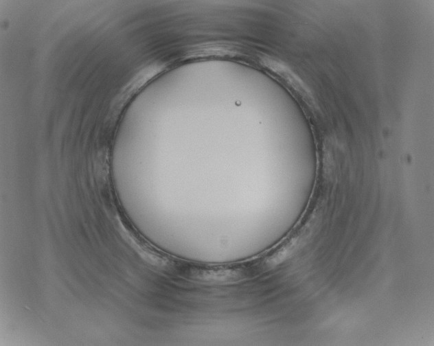 X0000074311233200609151958