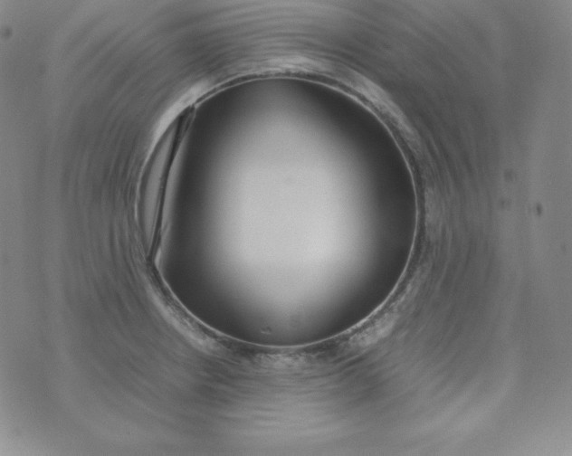 X0000074311234200609151958