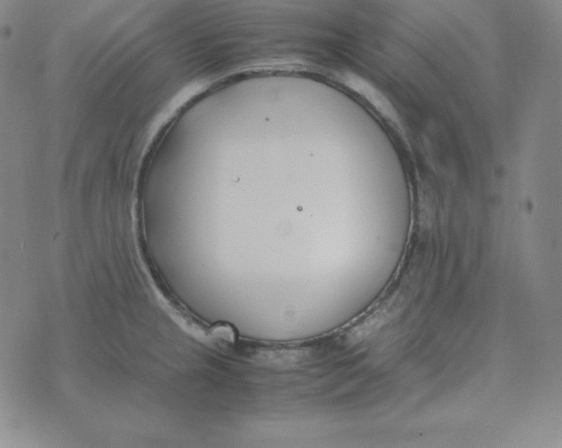 X0000074311237200609151959