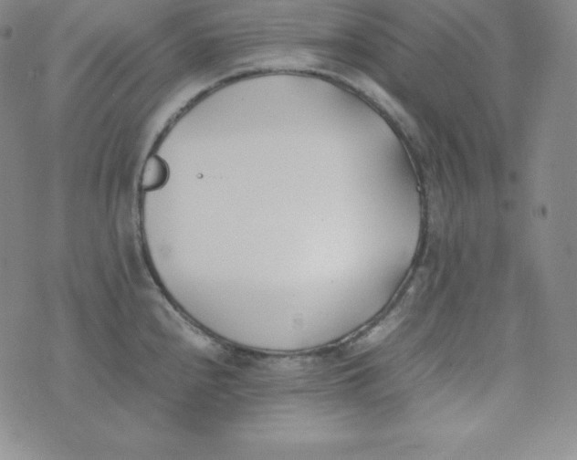 X0000074311240200609151959