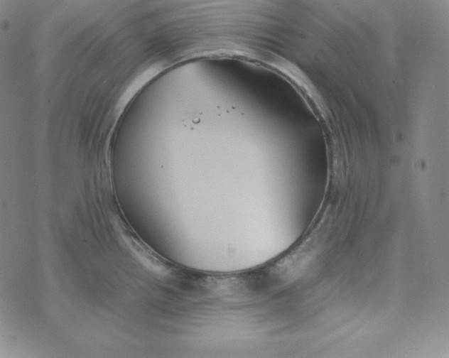 X0000074311242200609151959