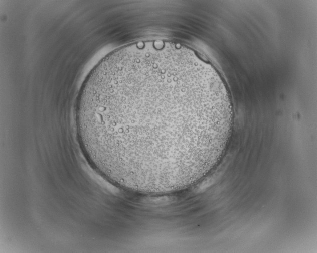 X0000074311243200609151959