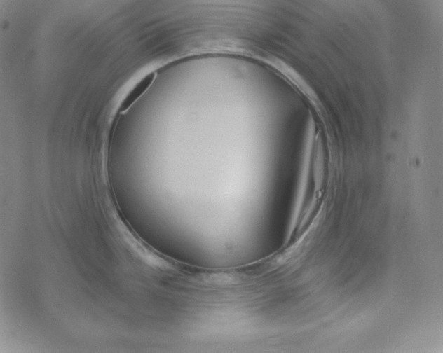 X0000074311246200609151959