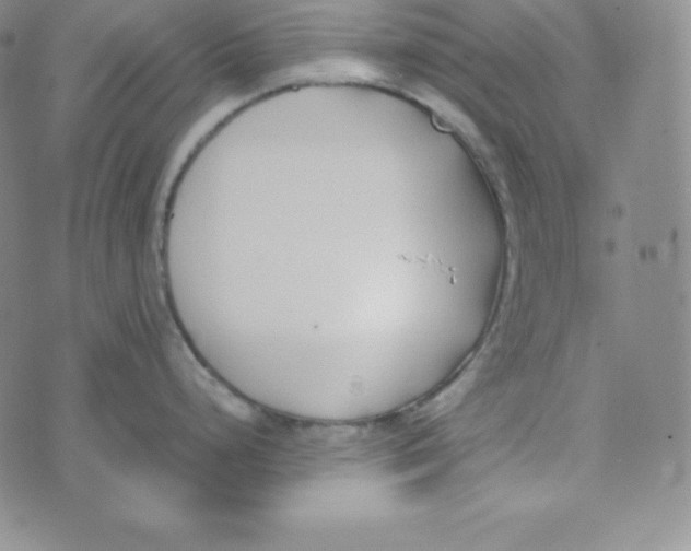 X0000074311248200609151959