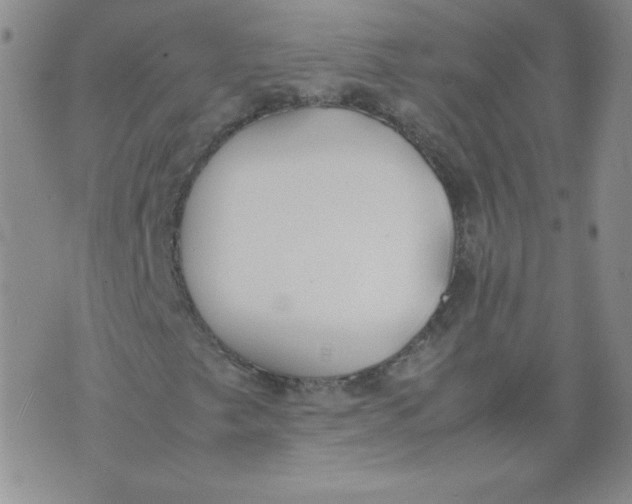 X0000074311249200609151958