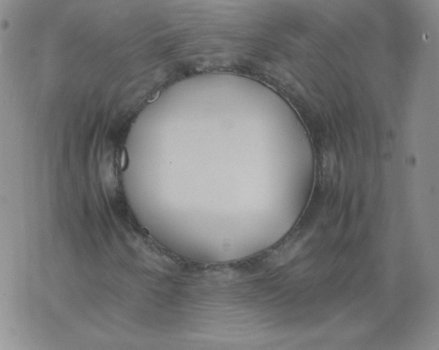 X0000074311250200609151958