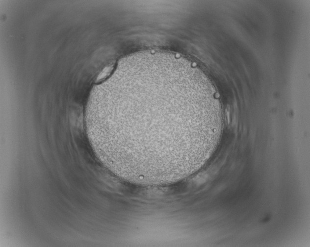 X0000074311251200609151958