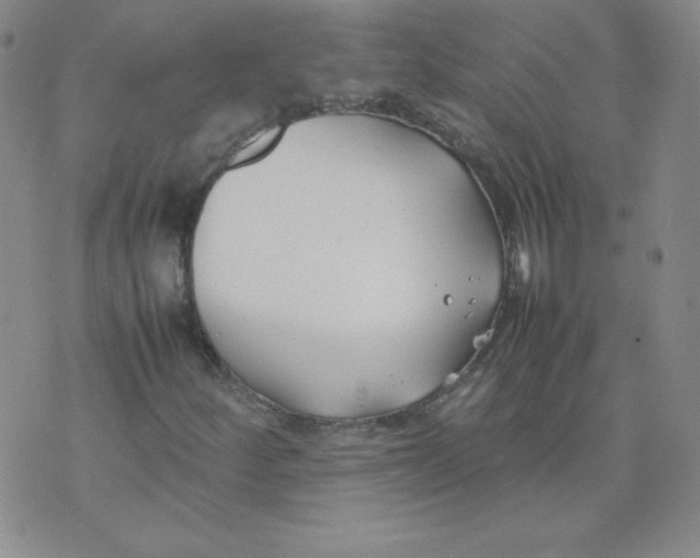 X0000074311252200609151958